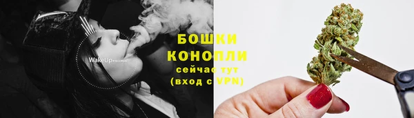 ешки Арсеньев