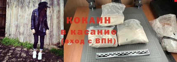 ешки Арсеньев